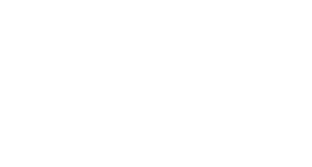 BIG DAISHOWA